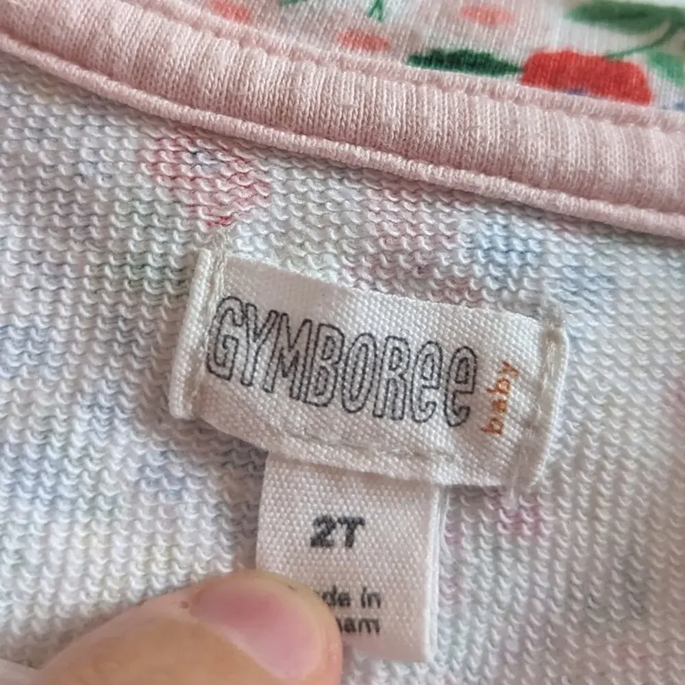 Gymboree Tunic Dress Girls Sz 2T Multi Colorful Floral